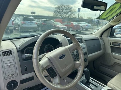 2010 Ford Escape XLT