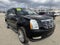 2010 Cadillac Escalade Luxury