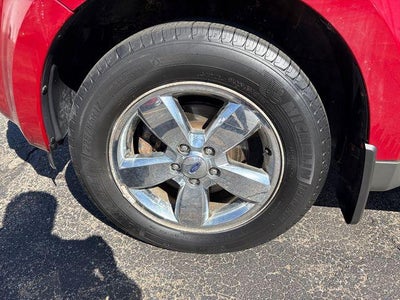 2009 Ford Escape XLT