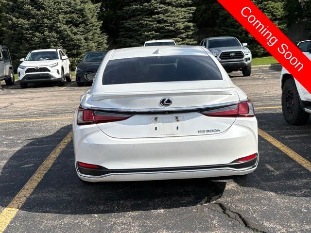 2019 Lexus ES 300h
