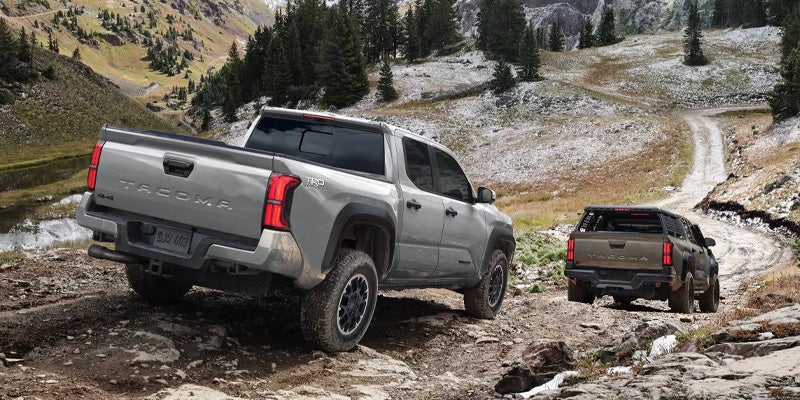 2025 Toyota Tacoma - Matick Toyota in Macomb Township MI