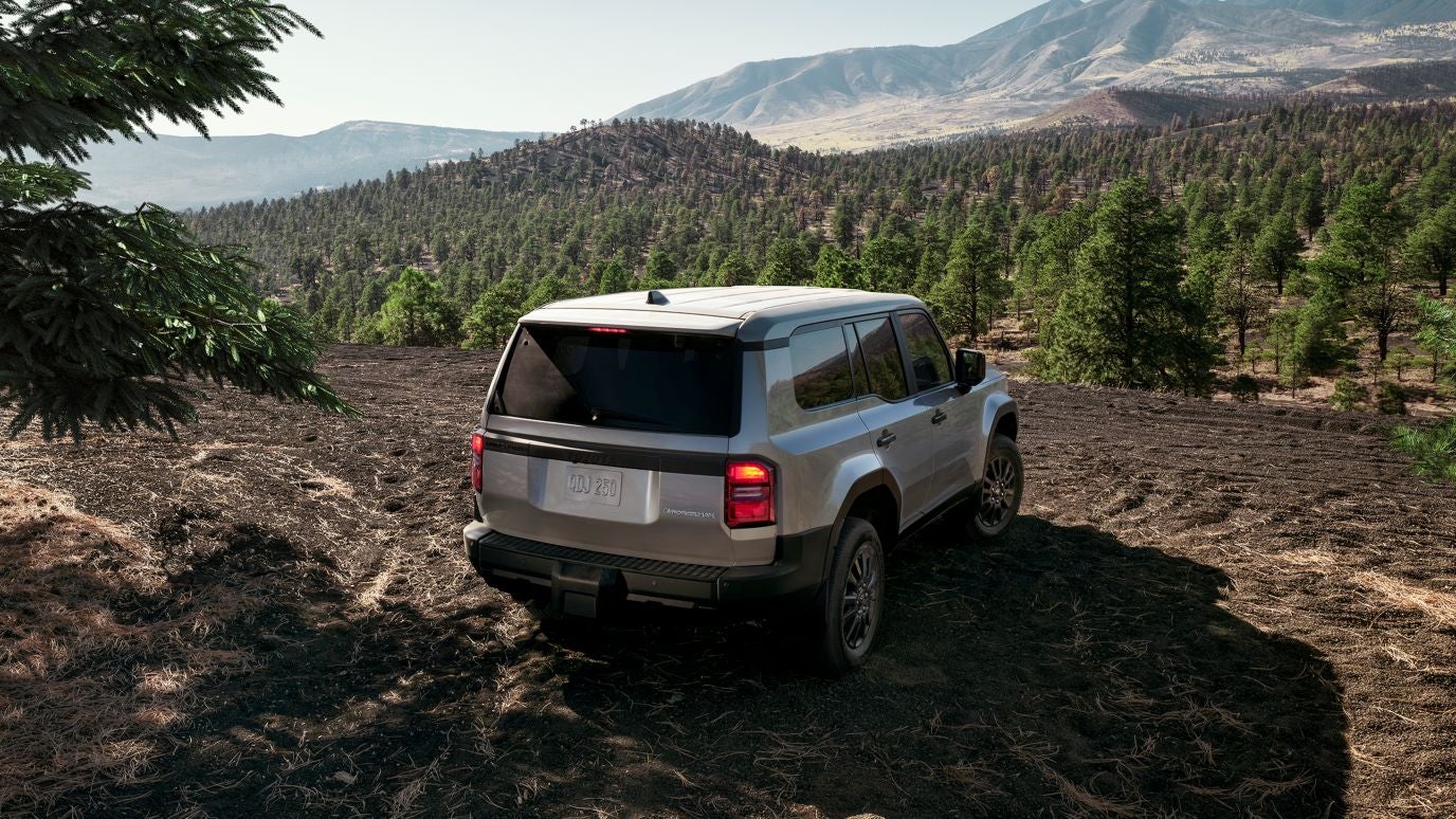 A silver Toyota Land Cruiser overlooking a forest on a hill clearing