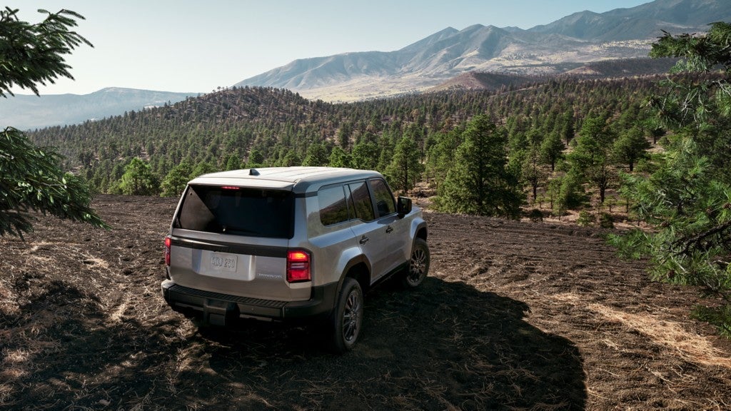 A silver Toyota Land Cruiser facing towards a forest on a small cliff