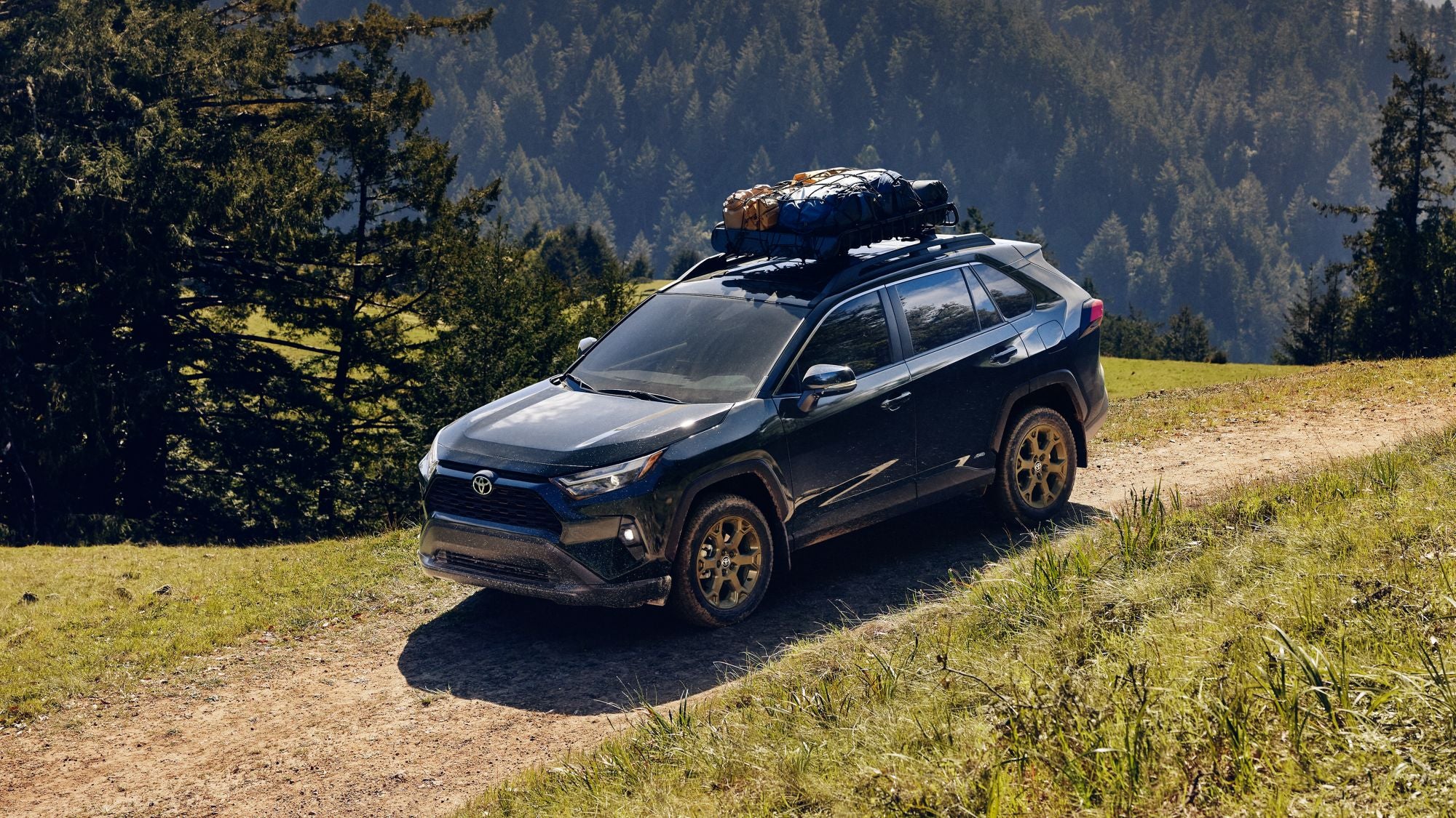 A blue Toyota RAV4 driving over a dirt trail in a forested, hilly area while carrying luggage on the roof