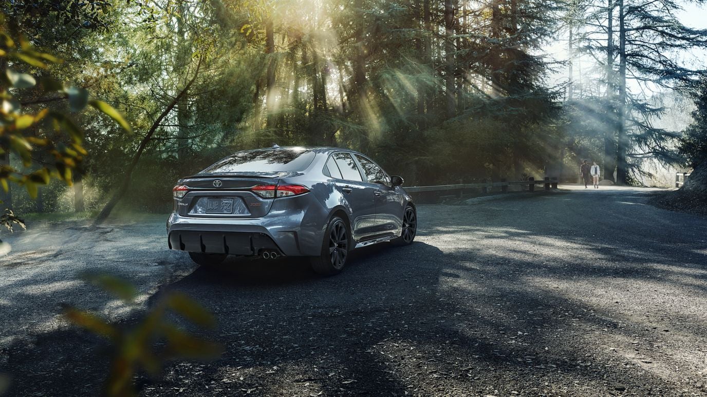 A rear view of a gray Toyota Corolla parked on a forest trail